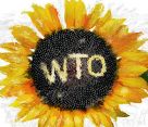 Что может спасти наше сельское хозяйство от ВТО? Подарок в «зеленой корзине»?